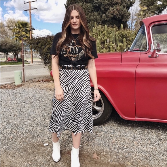 Cotton Candy Dresses & Skirts - Zebra 🦓 midi skirt